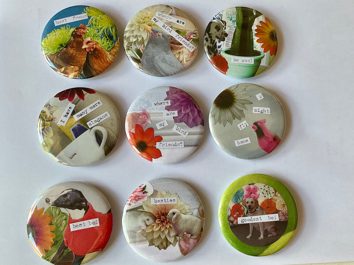Bird Friends badge large